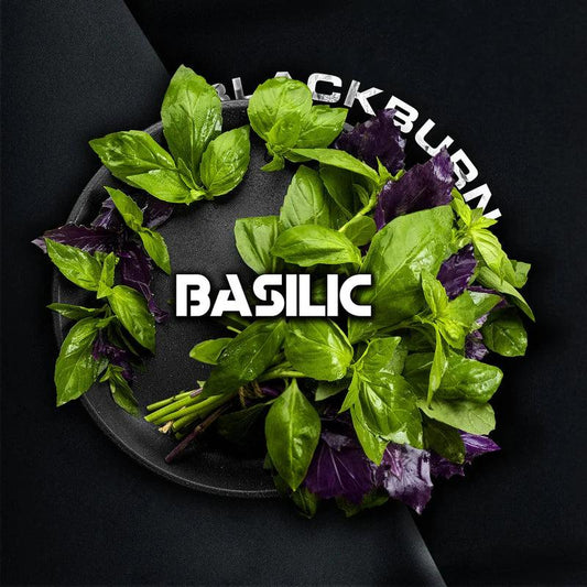 Black Burn BASILIC Hookah Shisha - 200gr - Prestige Hookah